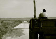 Festa del contadino Acireale 1335 0 Festa del contadino Acireale